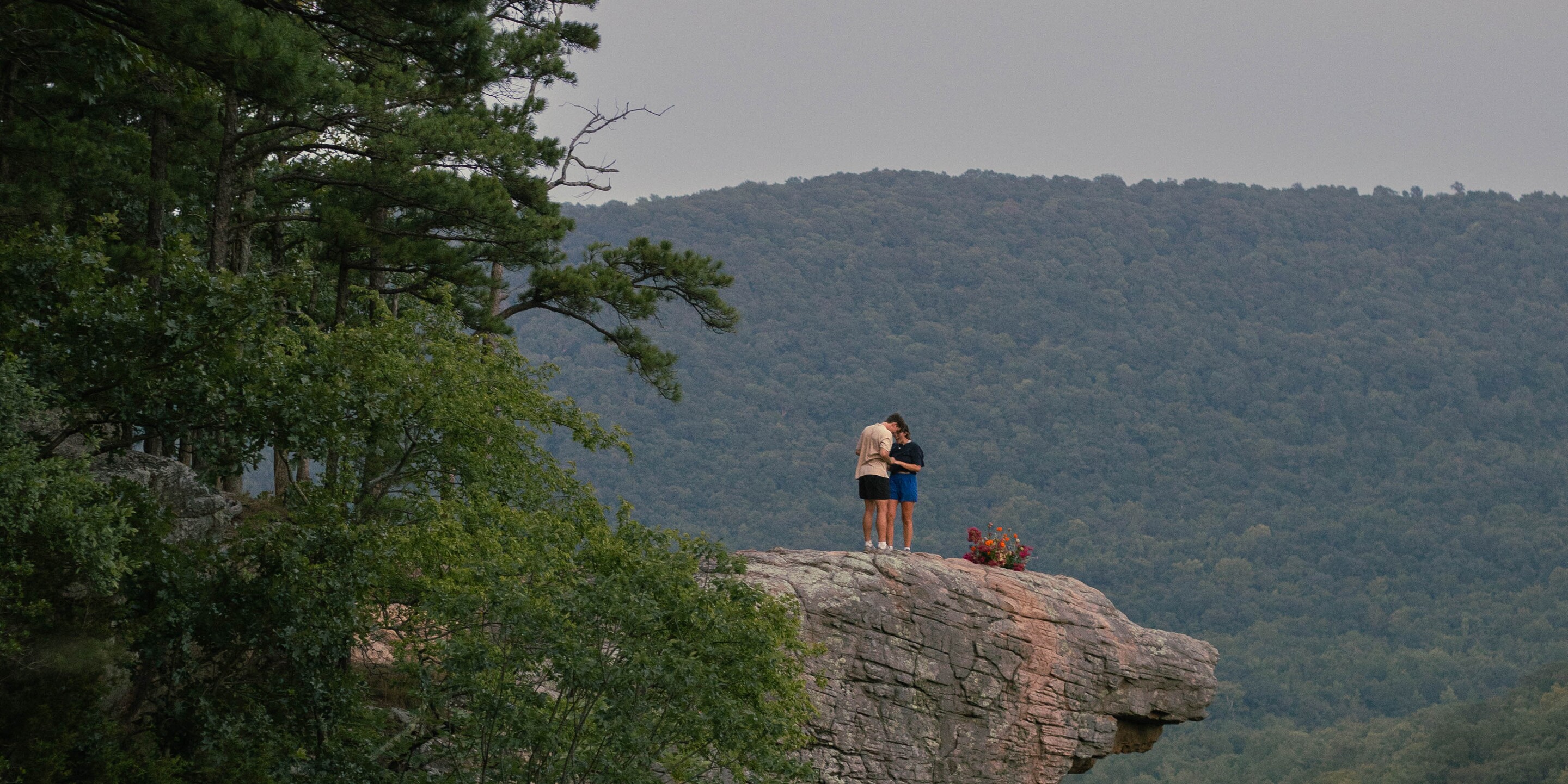 Brooks & Jessie Home Page Banner