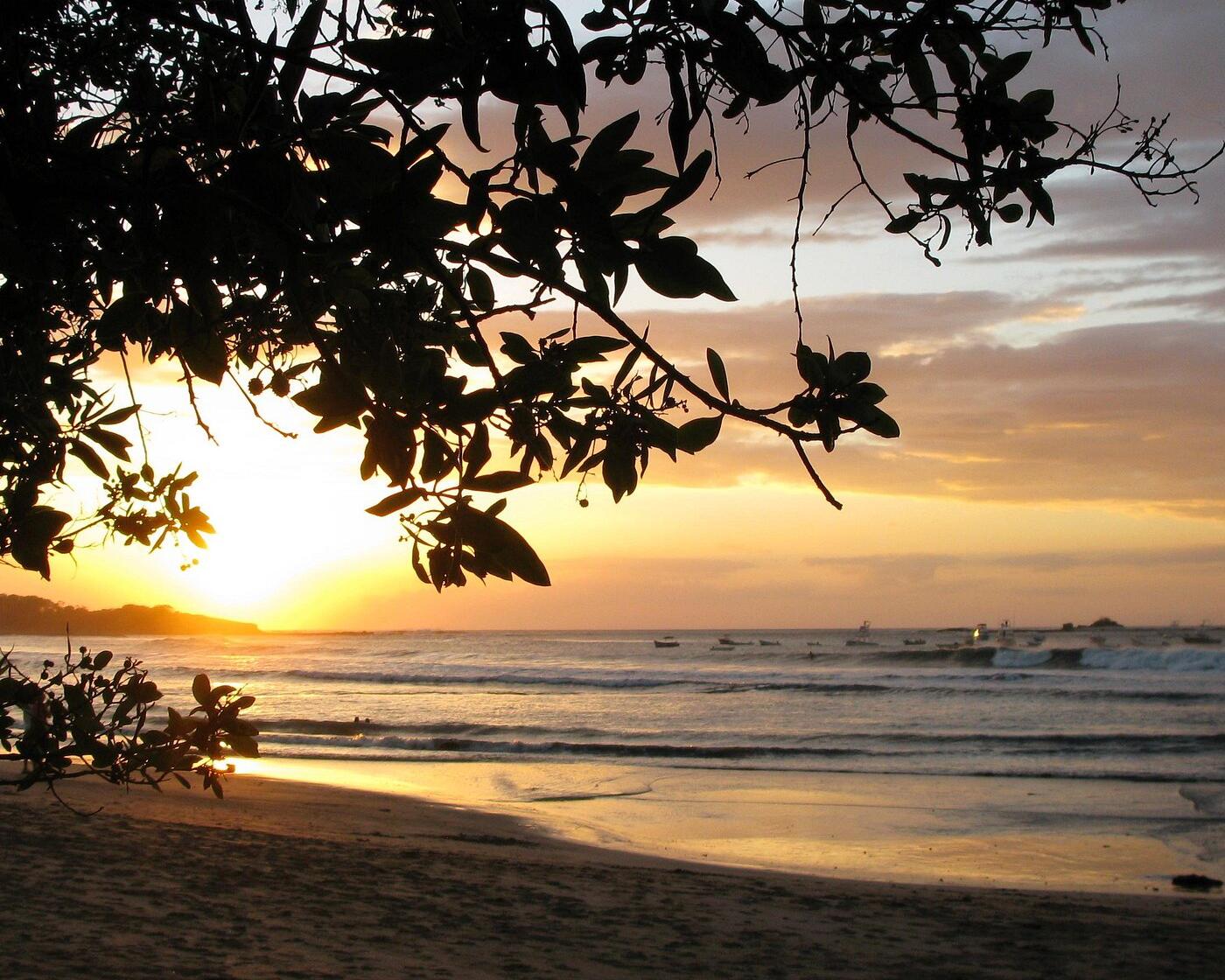 Picture of Tamarindo