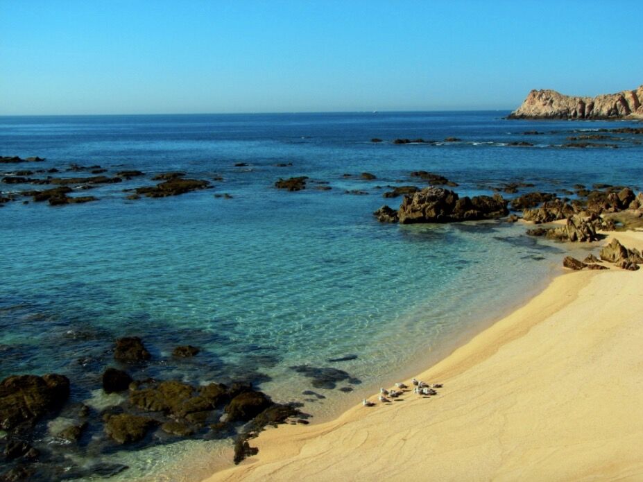Picture of Chileno Bay Beach