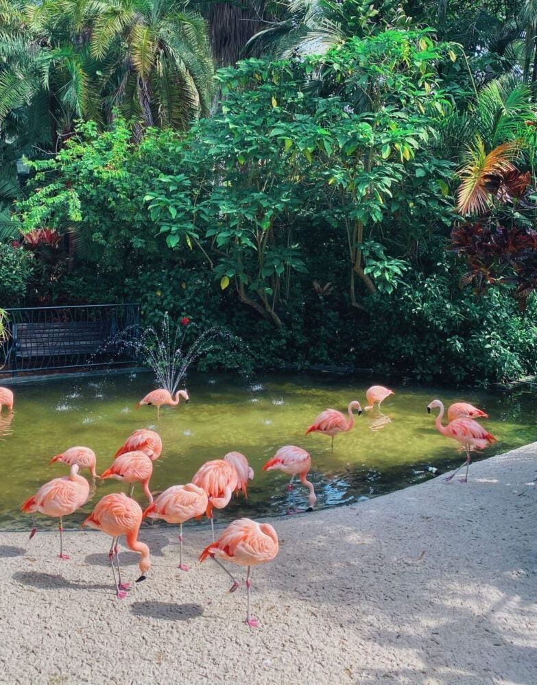 Picture of Sunken Gardens