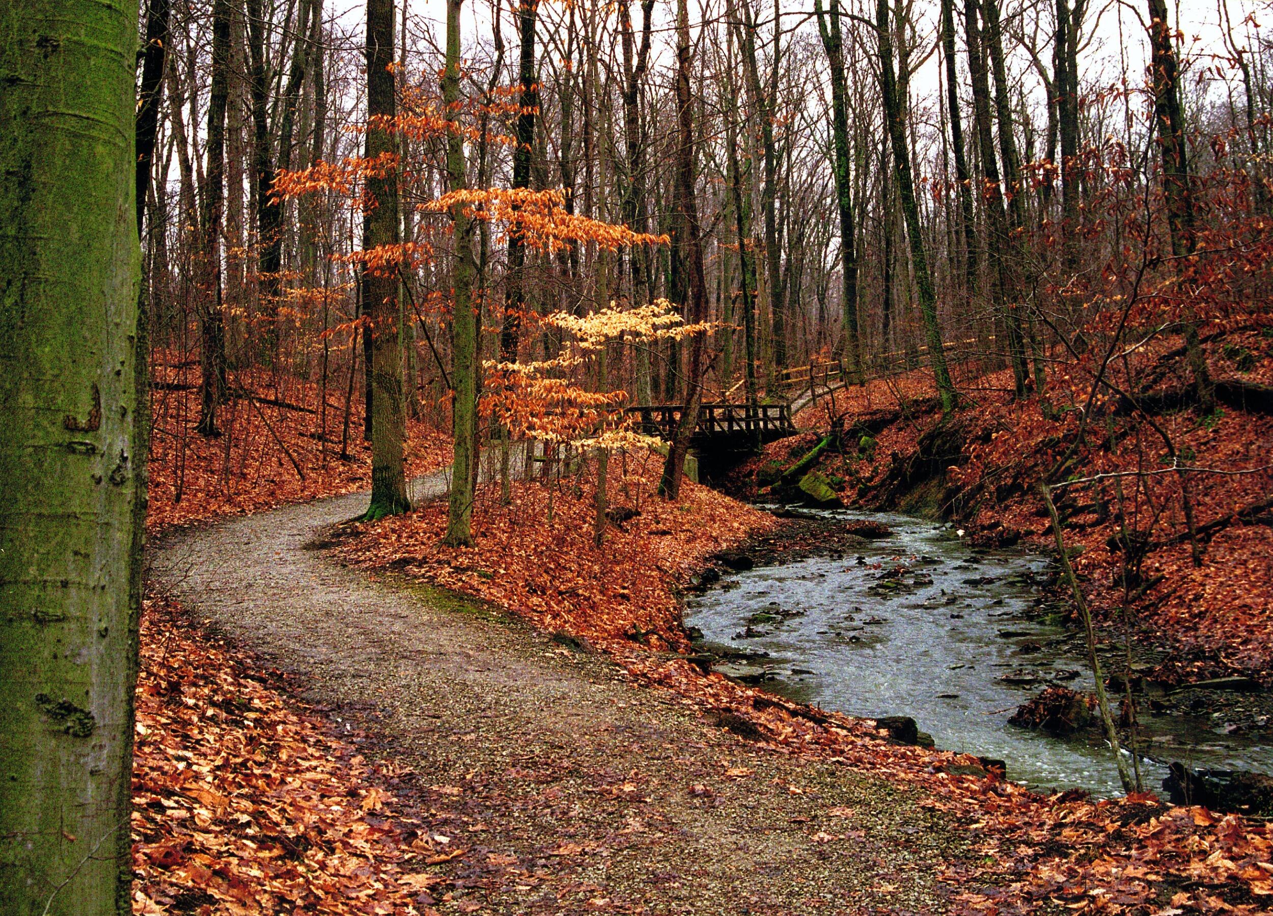 Picture of Highbanks Metro Park