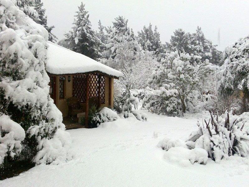 Picture of Granny Mouse House