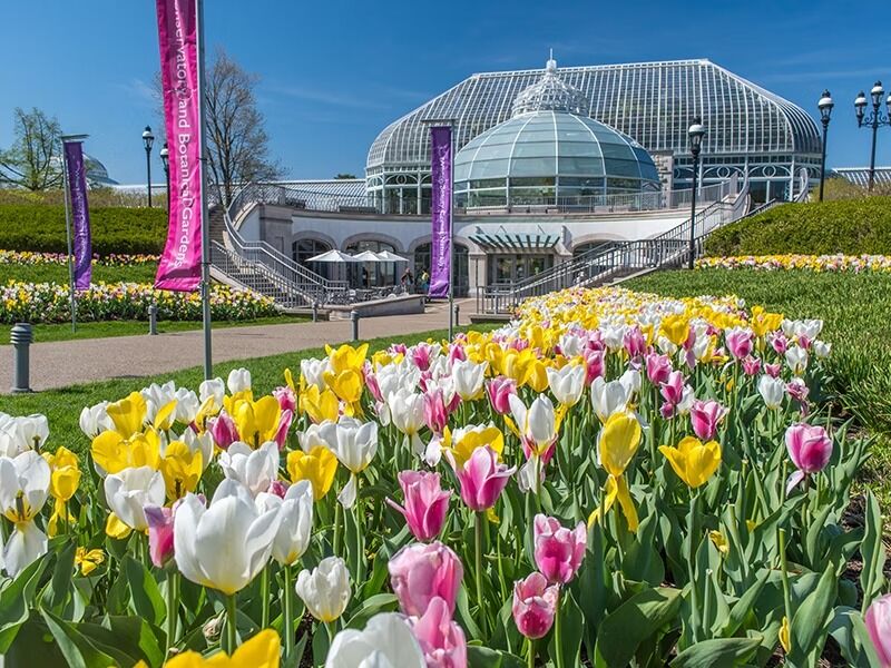 Picture of Phipps Conservatory and Botanical Gardens