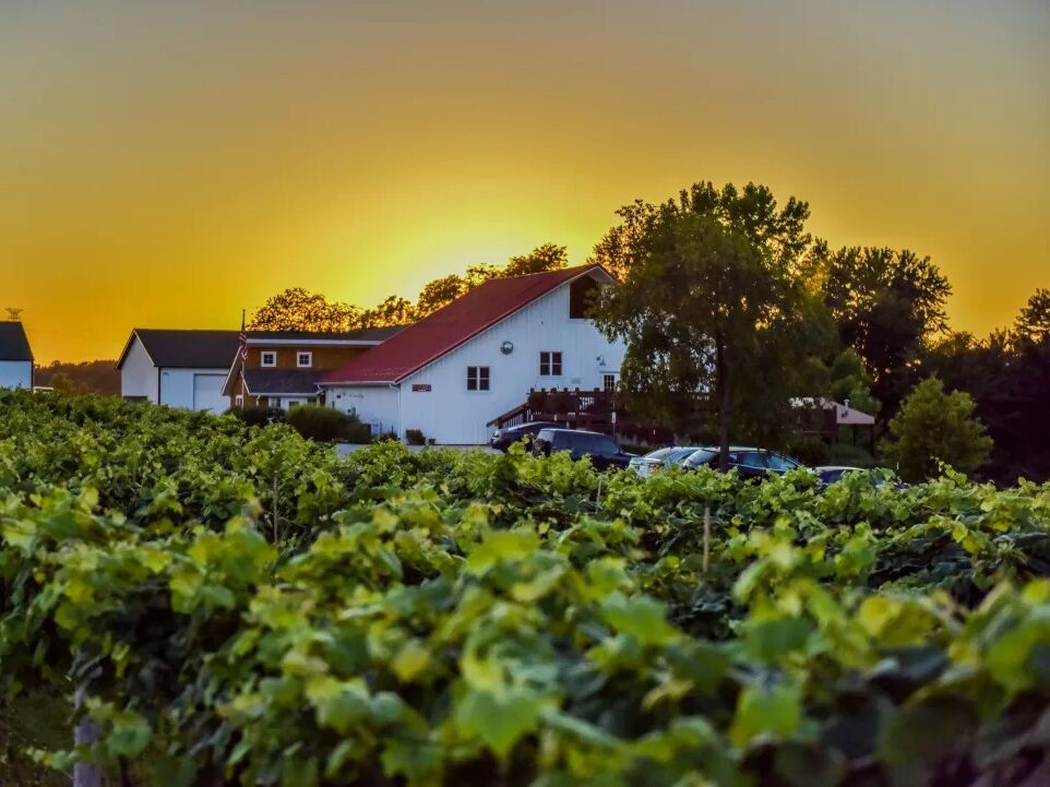 Picture of Mallow Run Winery