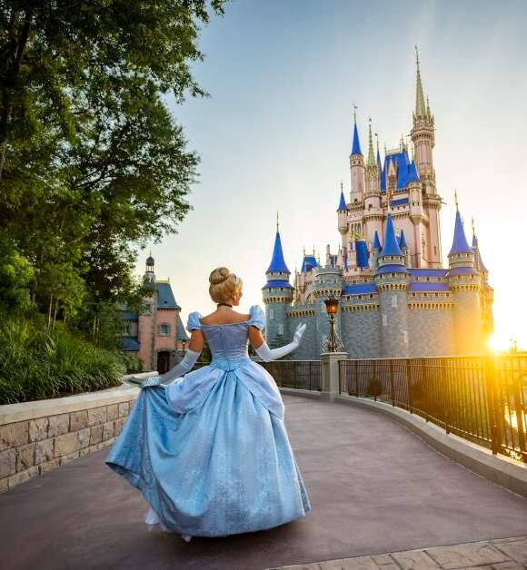 Picture of Walt Disney World® Resort