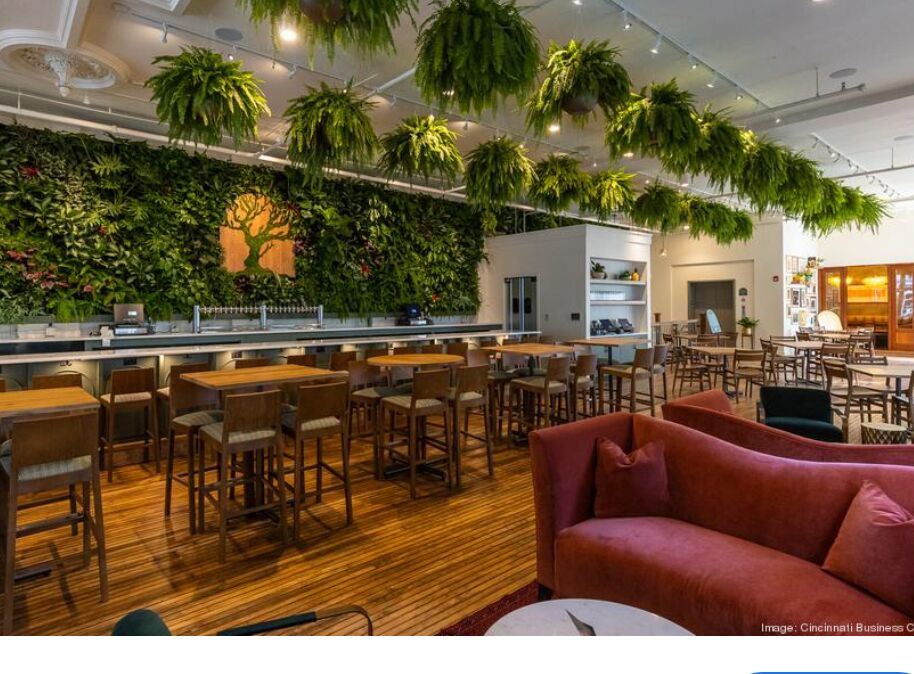 Picture of Alcove by Madtree Brewing Co.