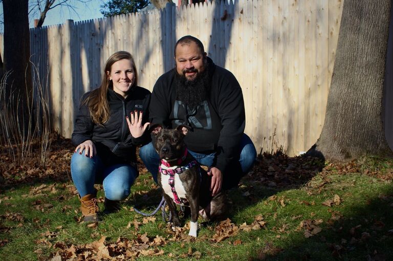 Heinz & Molly Home Page Banner