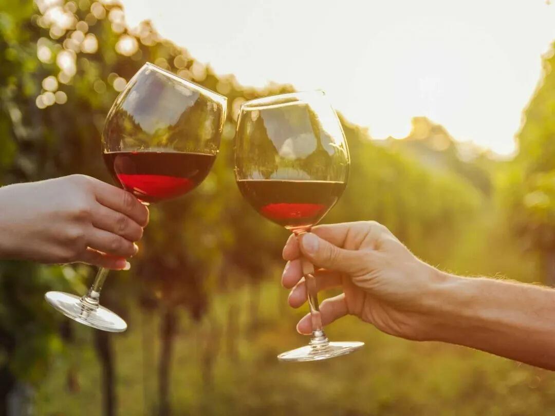 Picture of Dry Comal Creek Vineyards