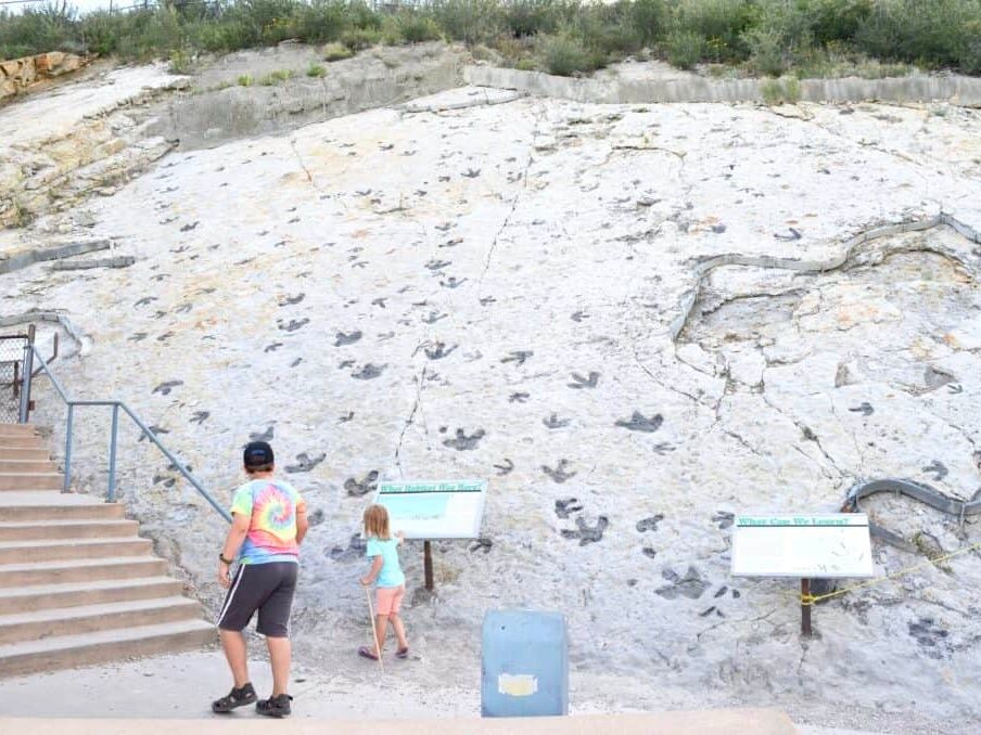 Picture of Dinosaur Ridge
