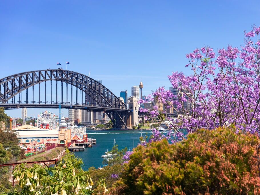Picture of Circular Quay Harbour Lookout