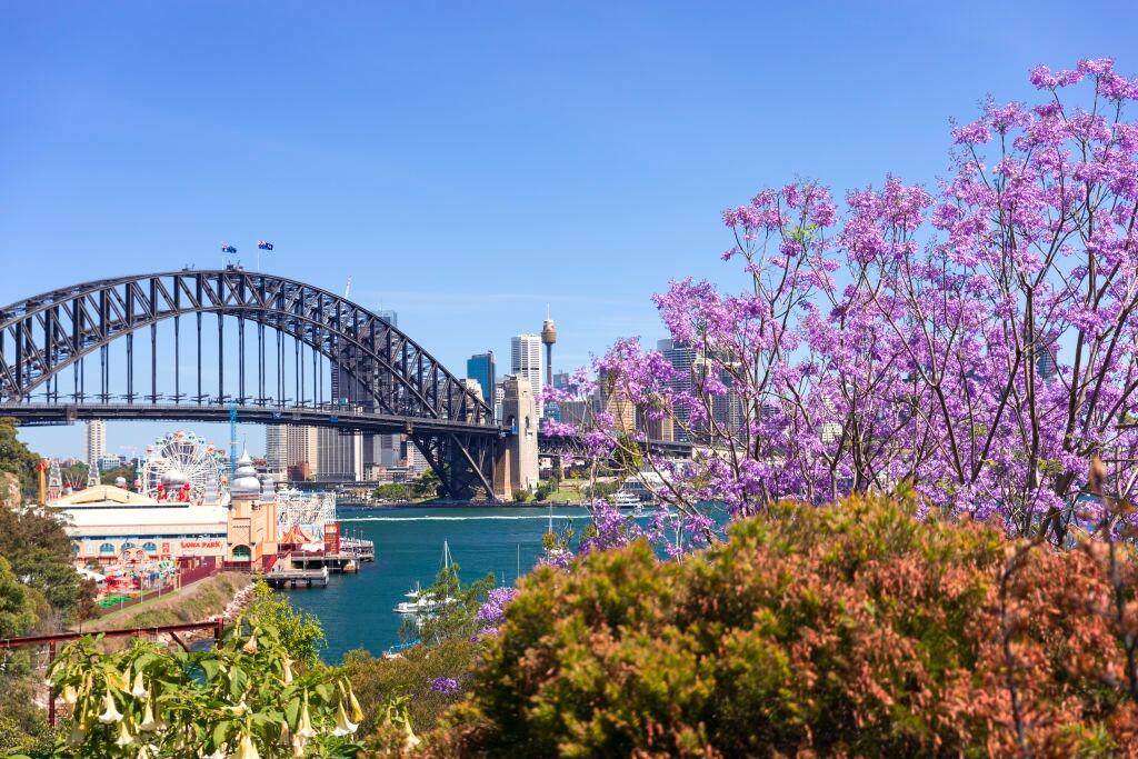 Picture of Circular Quay Harbour Lookout