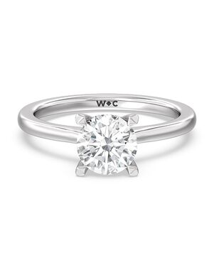 With Clarity Elegant Princess, Cushion, Emerald, Pear, Radiant, Round, Oval Cut Engagement Ring