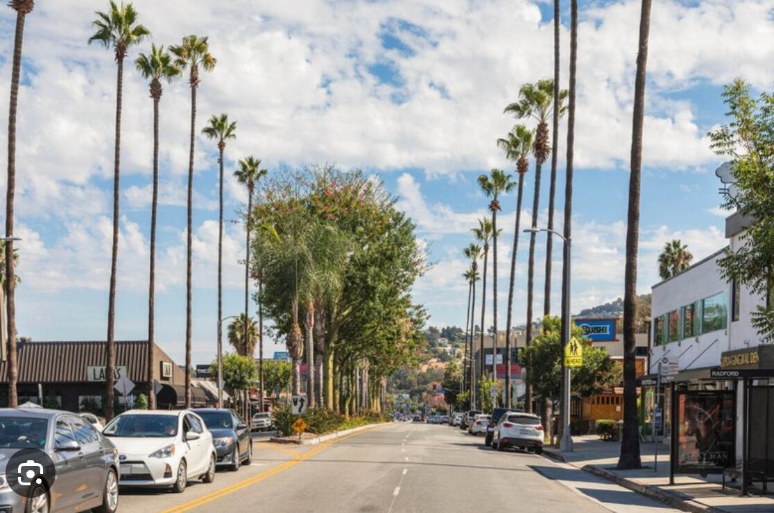 Picture of Ventura Blvd
