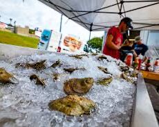 Picture of 2024 RI Seafood Festival