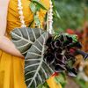 A Colorful, Tropical Wedding at Moli'i Gardens on Oahu's North Shore in Hawaii