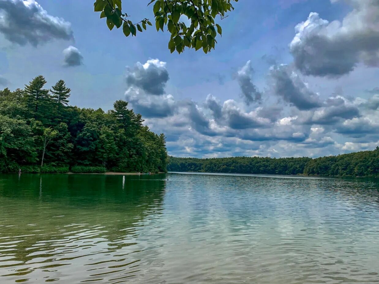 Picture of Walden Pond State Reservation