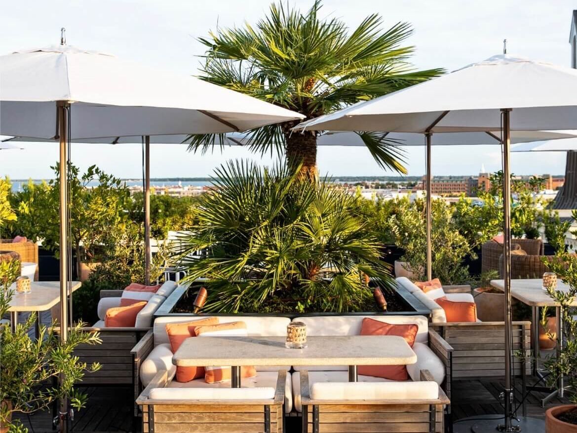 Picture of Citrus Club