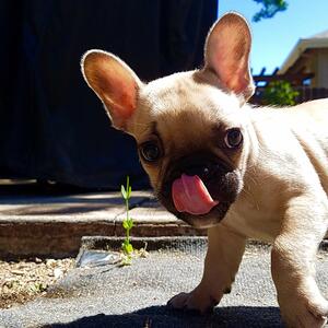 Gallery Photo 13