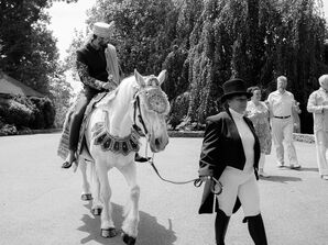 Groom on Horse for Indian Wedding Baraat Processional