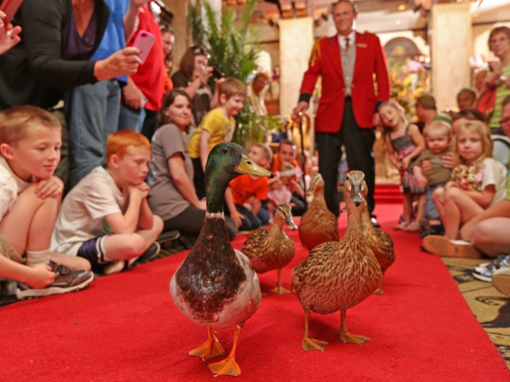 Picture of The Peabody Memphis