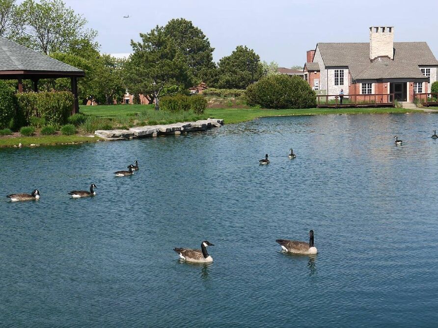 Picture of Dunne Park Recreation Center