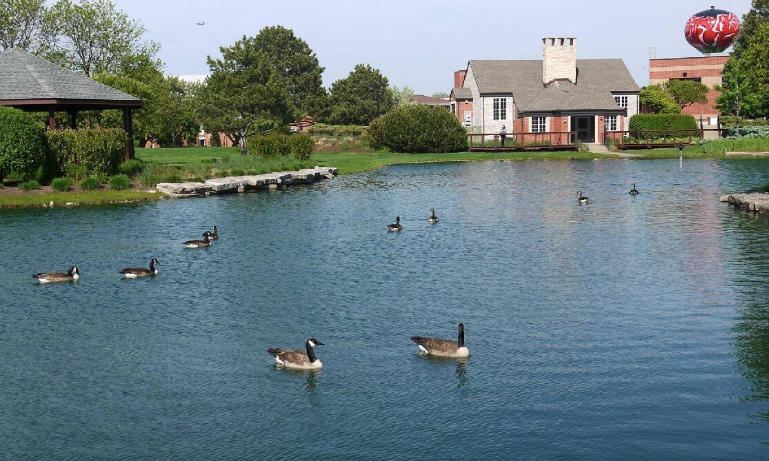 Picture of Dunne Park Recreation Center