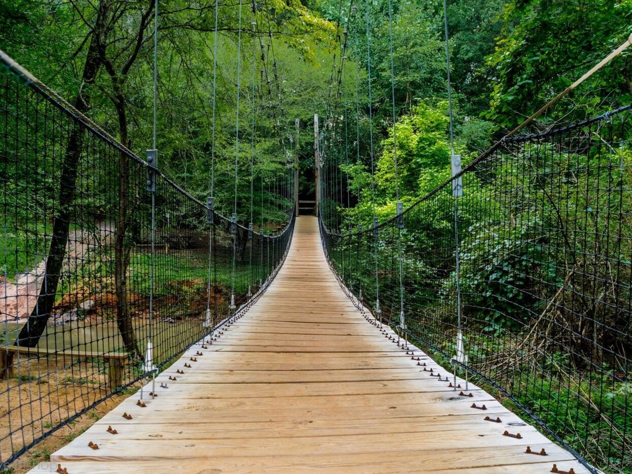 Picture of Anne Springs Close Greenway - Adventure Road
