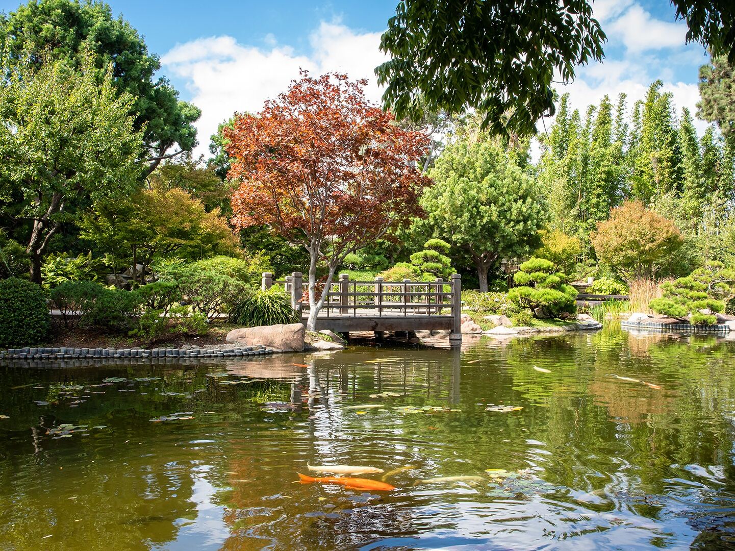 Picture of Earl Burns Miller Japanese Garden