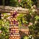 Whimsical Donut Dessert Tower