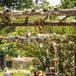 Intimate Garden Wedding Reception