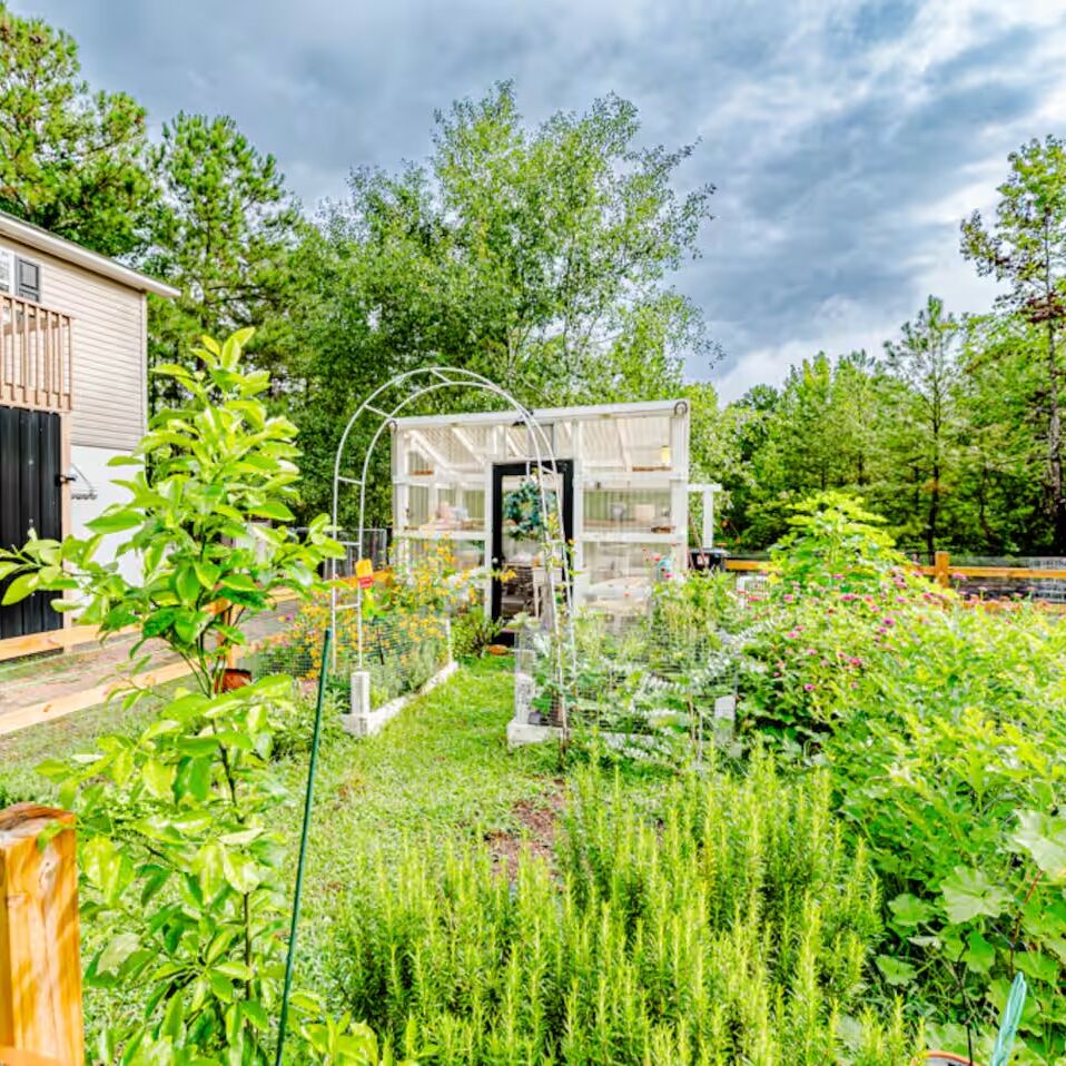 Picture of Airbnb - Homestead Guest House 5 minutes from Venue