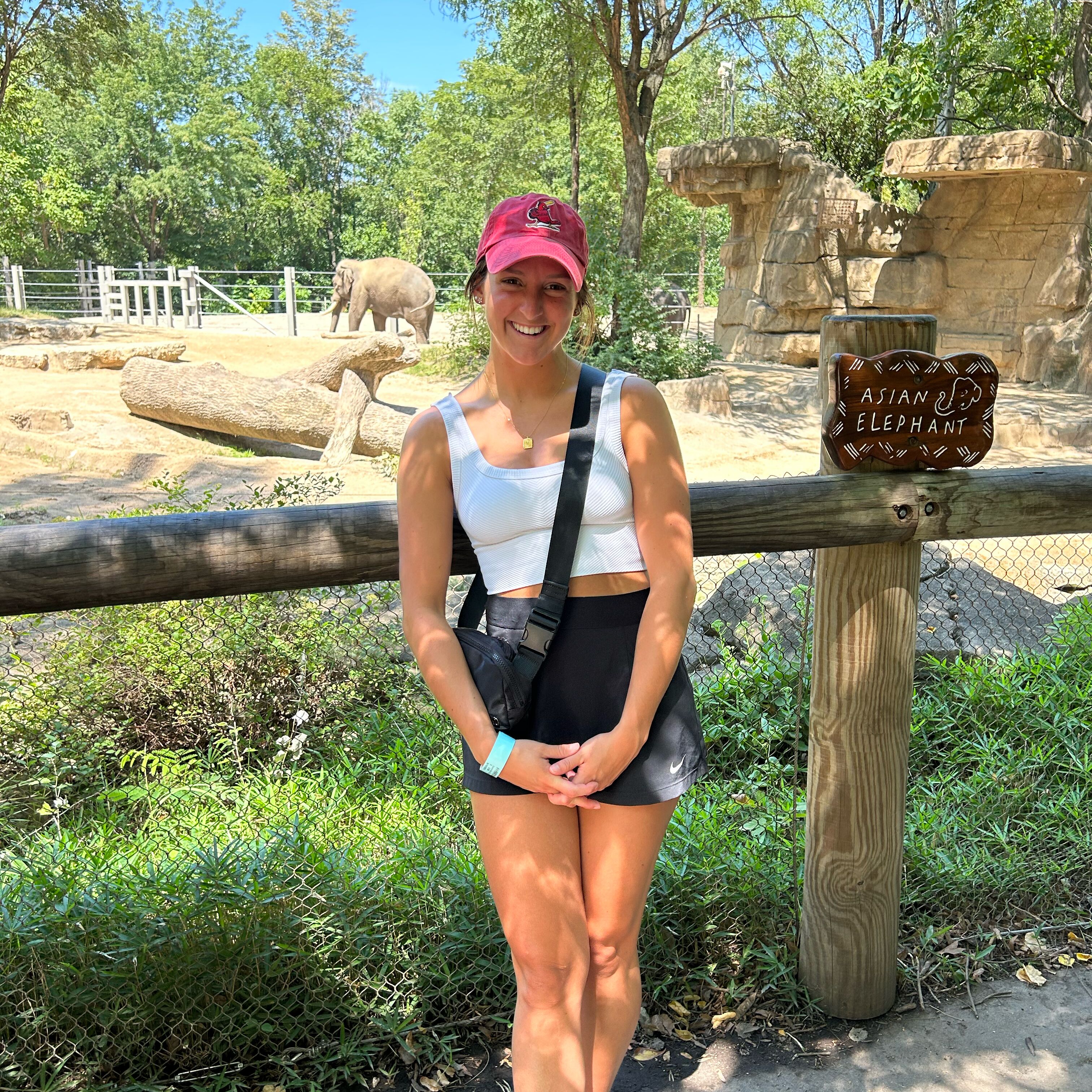 Picture of Saint Louis Zoo