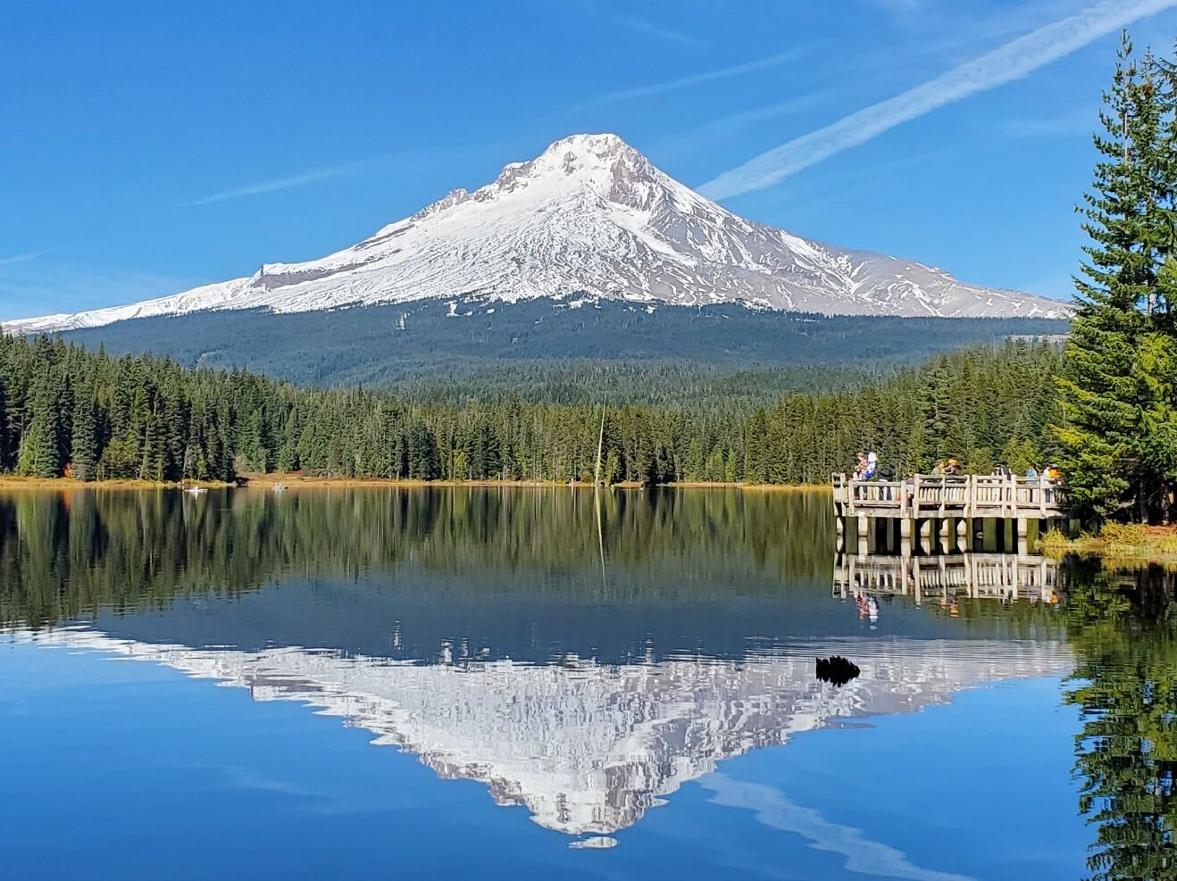 Picture of Mt. Hood National Forest