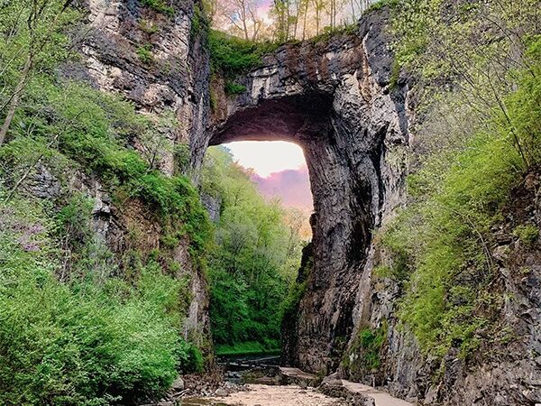 Picture of Natural Bridge State Park