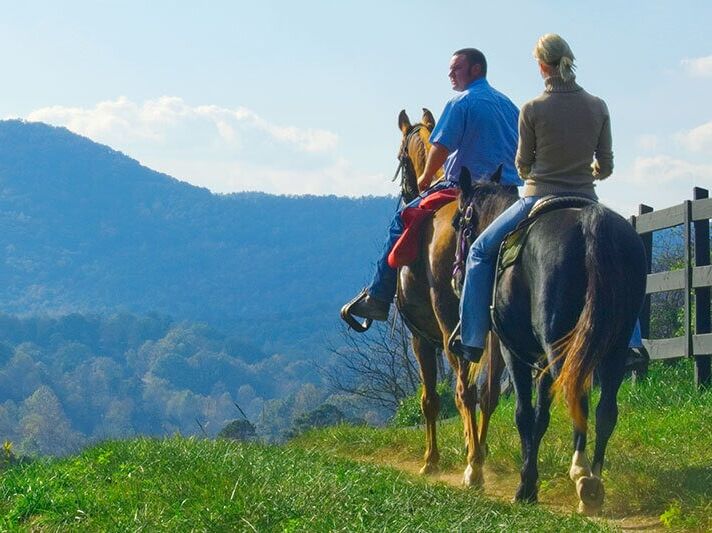 Picture of Brasstown Valley Resort & Spa