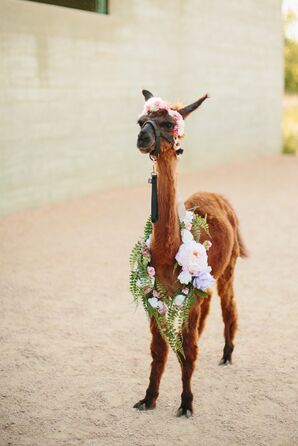 Fern and Floral Alpaca Collar