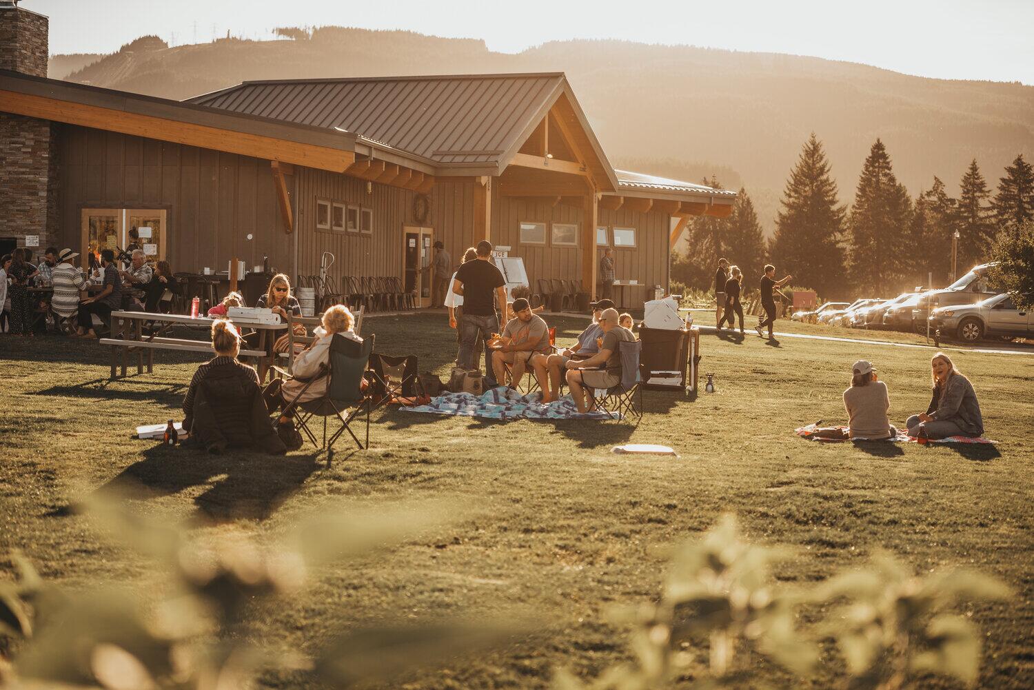 Picture of Grateful Vineyard 