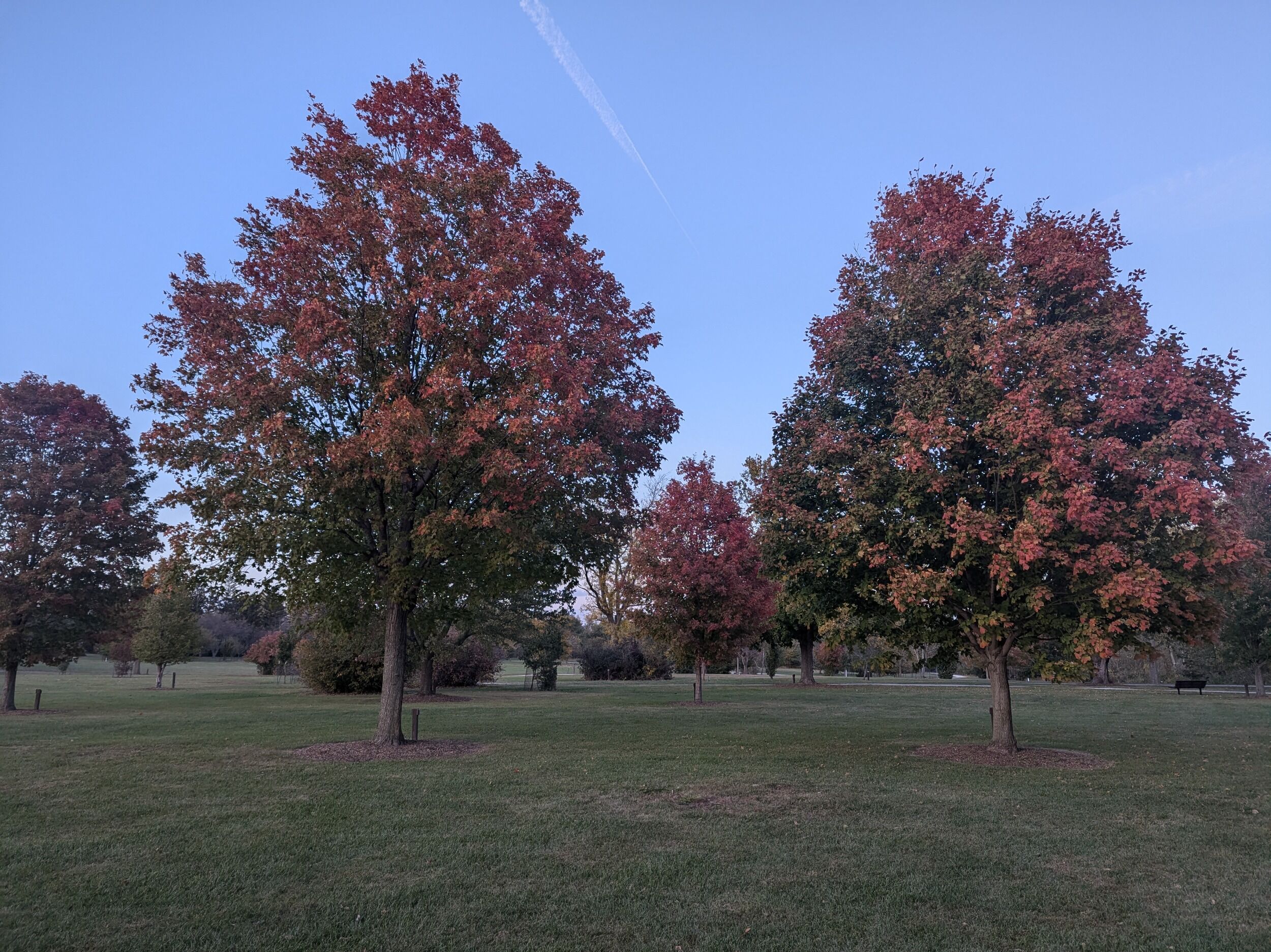Picture of Morgan Creek Park
