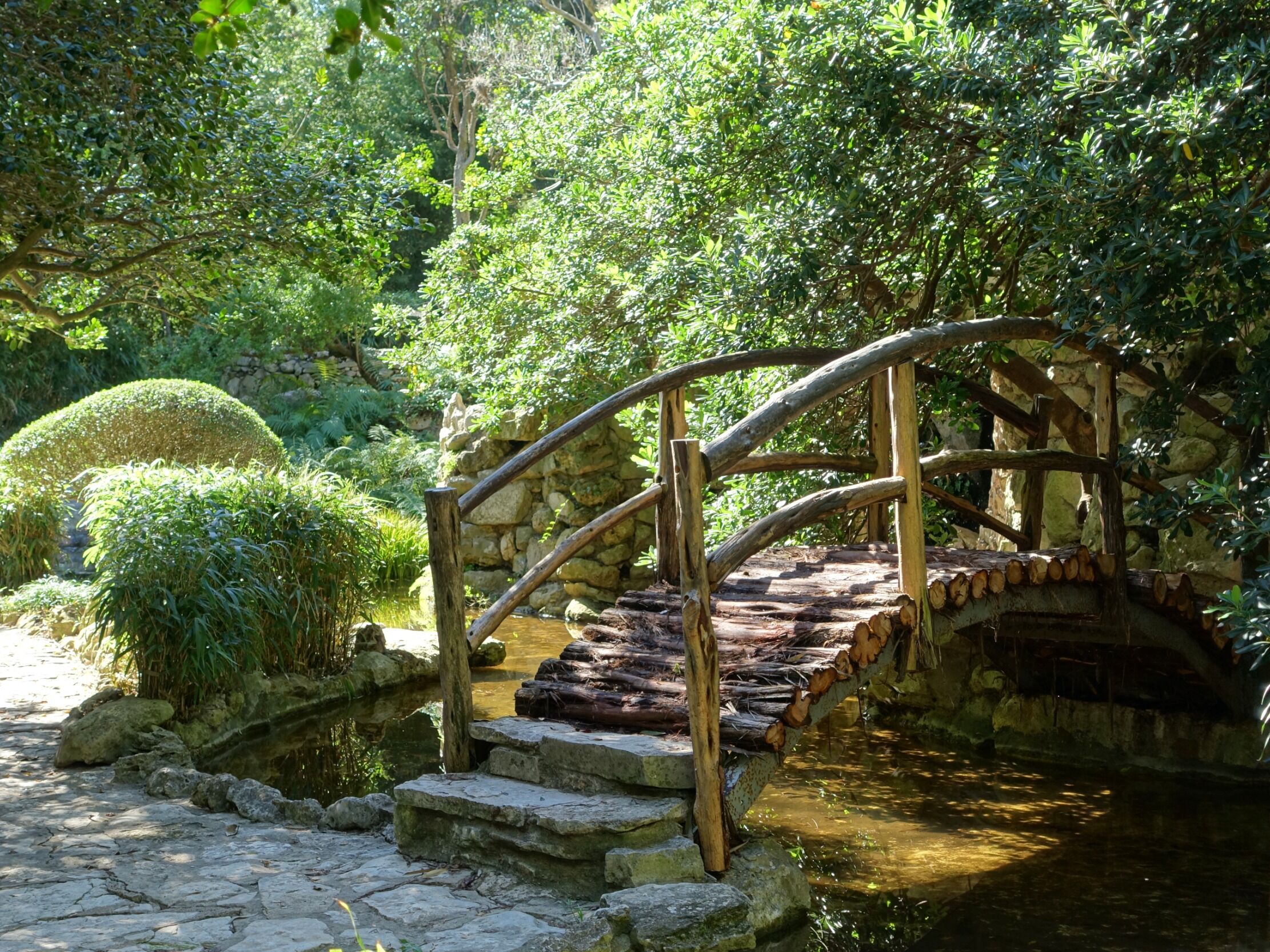 Picture of Zilker Botanical Garden