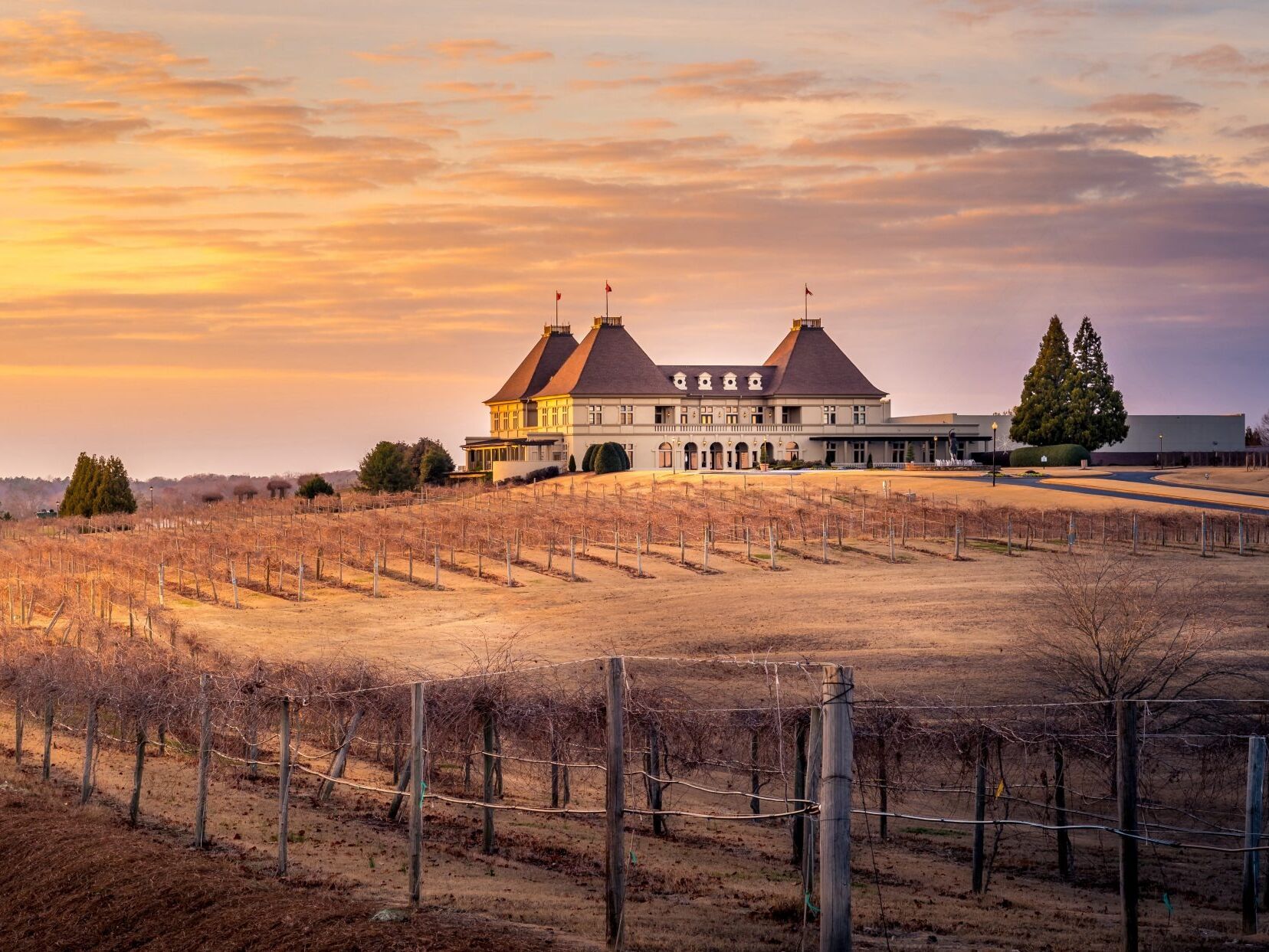 Picture of Chateau Elan Winery & Resort