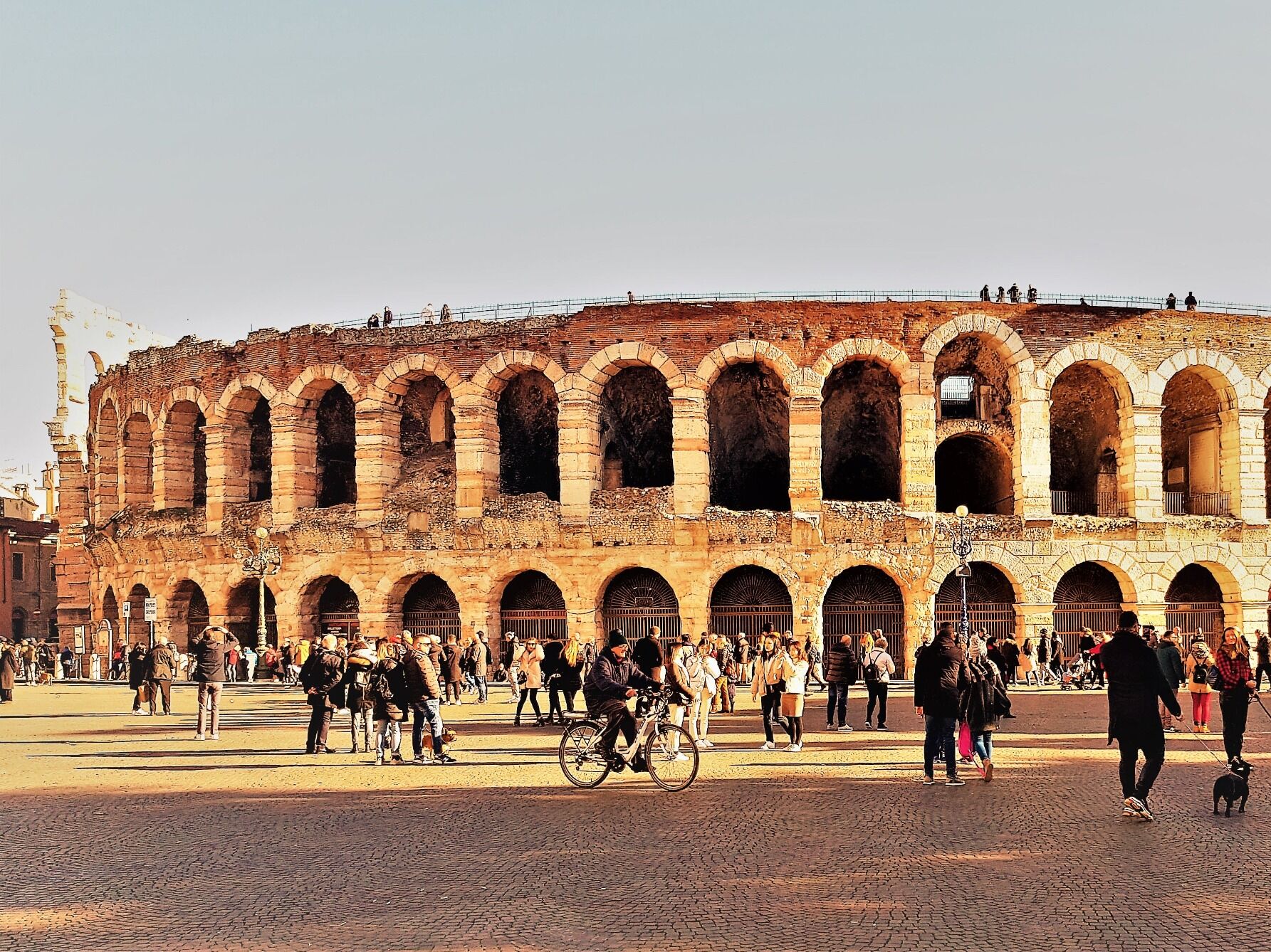 Picture of Verona Arena