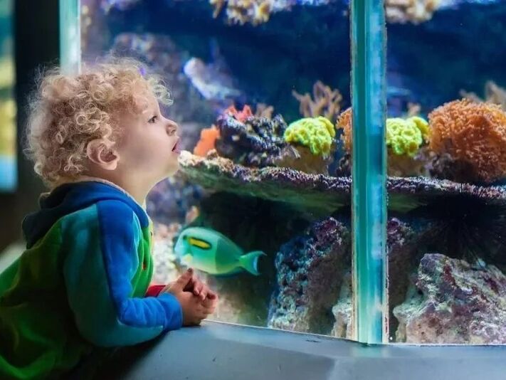 Picture of St. Augustine Aquarium