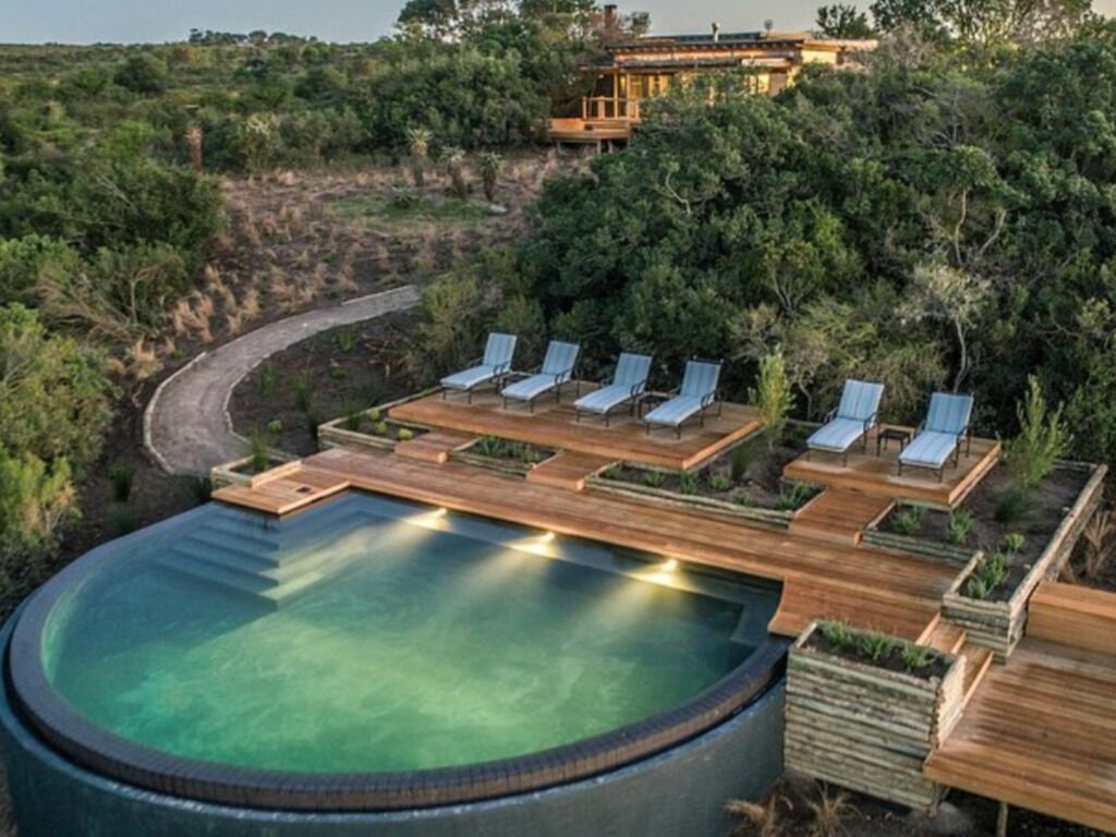 Picture of 2. Ukhozi Lodge Kariega