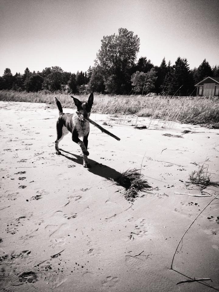 Album Photo 37