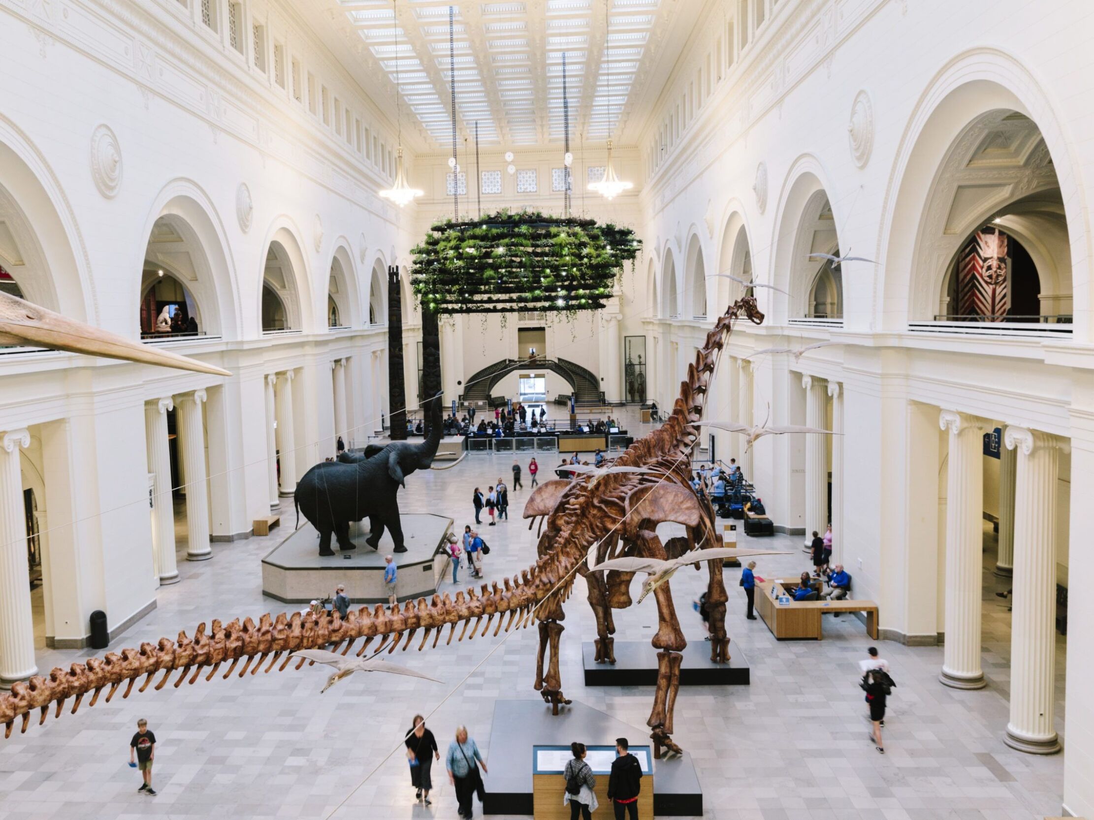 Picture of Field Museum
