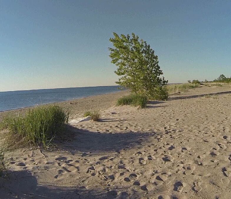 Picture of Illinois Beach State Park