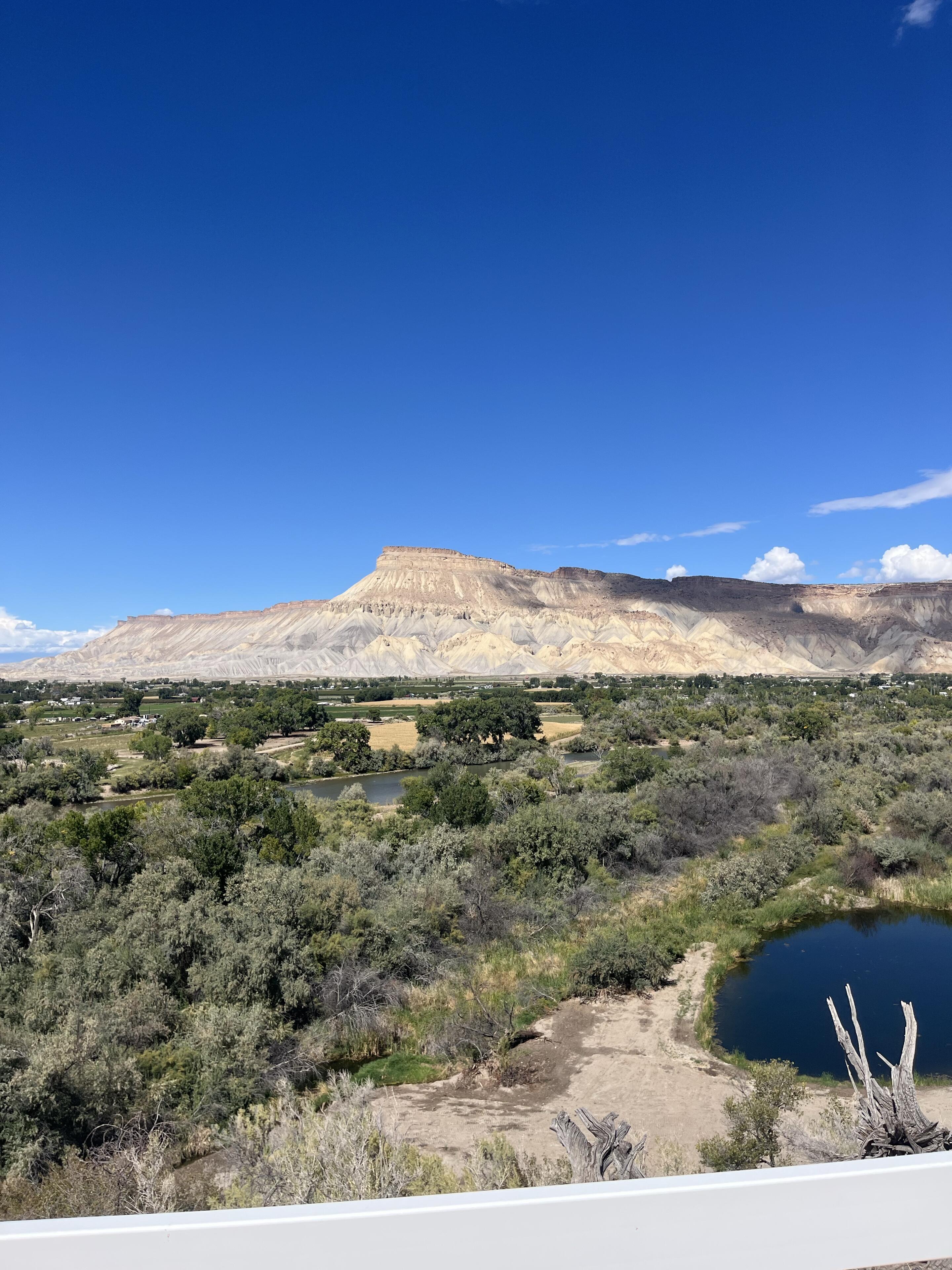 Picture of Palisade 