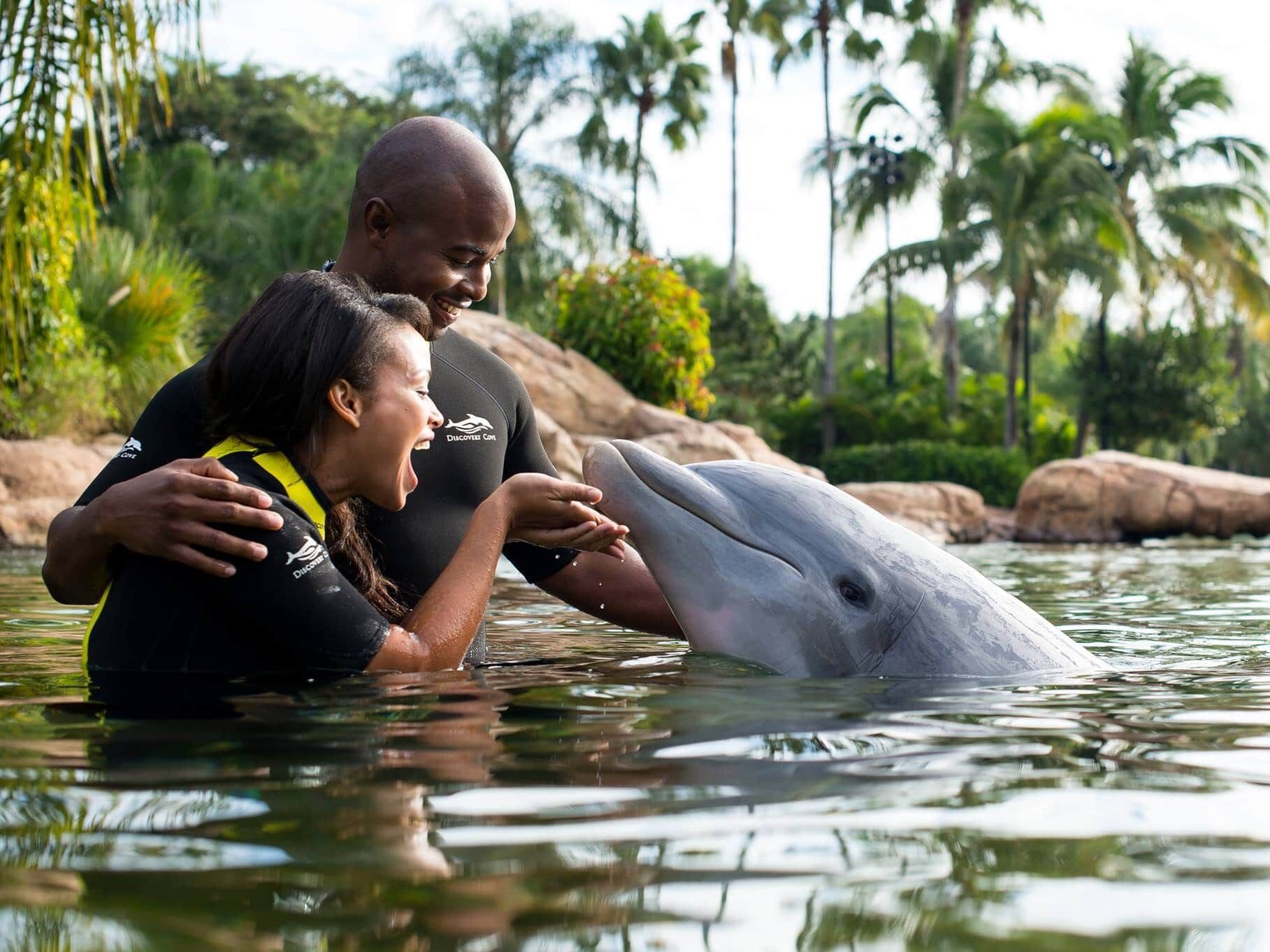 Picture of Discovery Cove