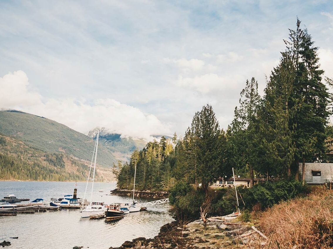 Picture of Backeddy Resort & Marina