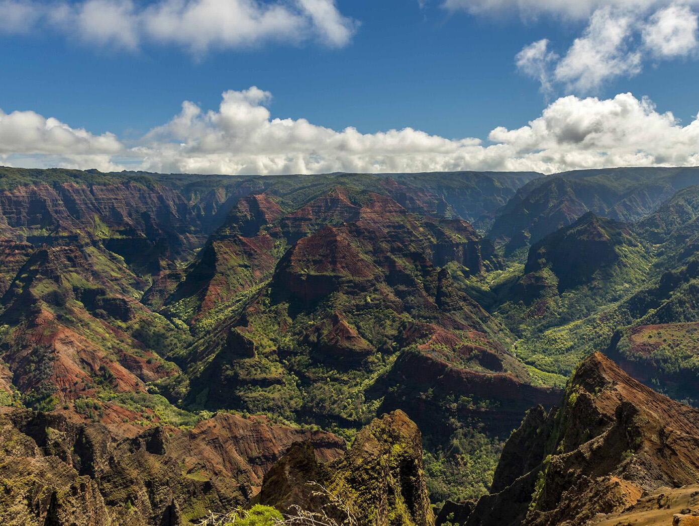 Picture of Waimea Canyon